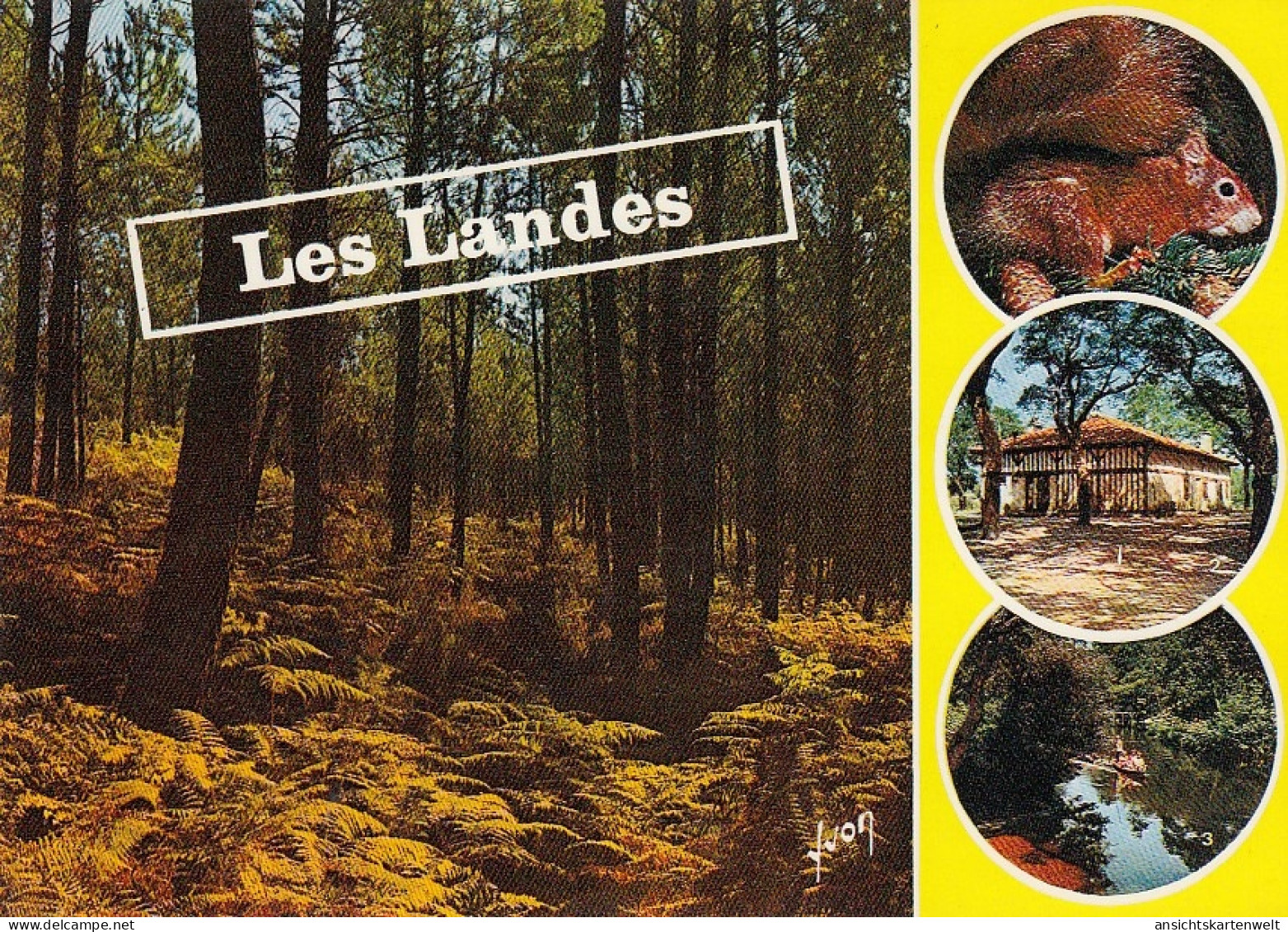 Les Landes, Côte Aquitaine Ngl #E2547 - Other & Unclassified