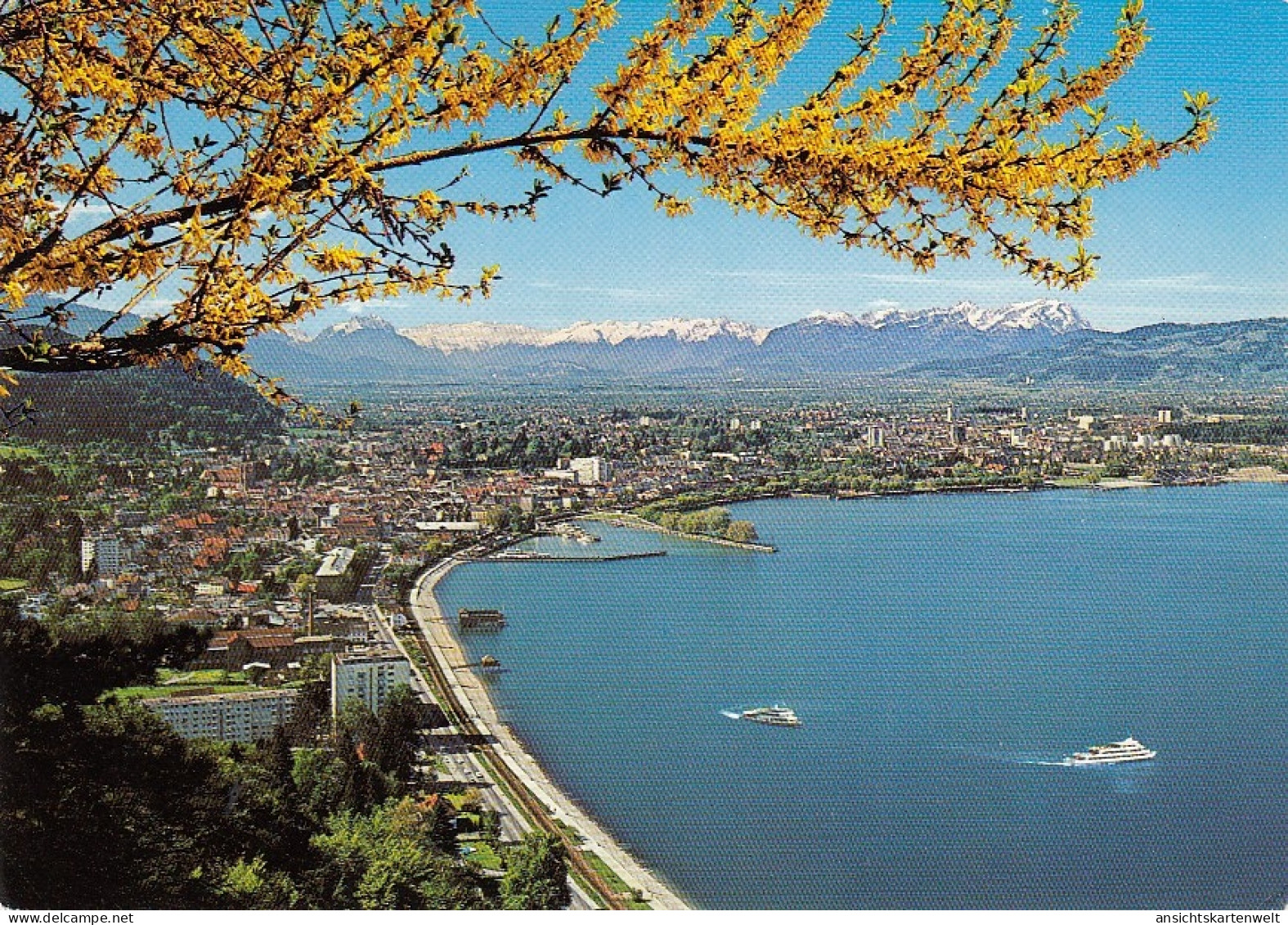 Bregenz Am Bodensee, Panorama Ngl #E3813 - Autres & Non Classés