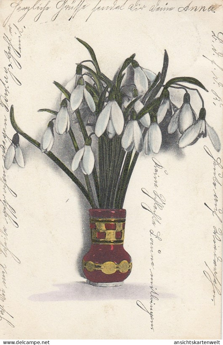 Schneeglöckchen In Vase Gl1904 #E3933 - Autres & Non Classés
