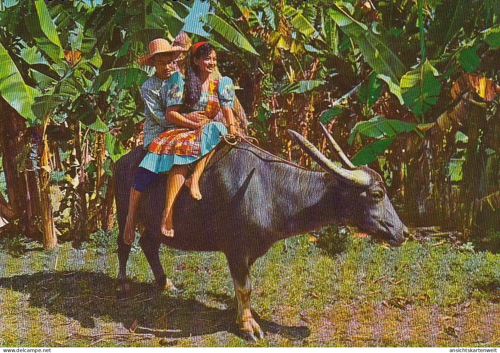 Philippinen, Carabao Ngl #E4897 - Autres & Non Classés