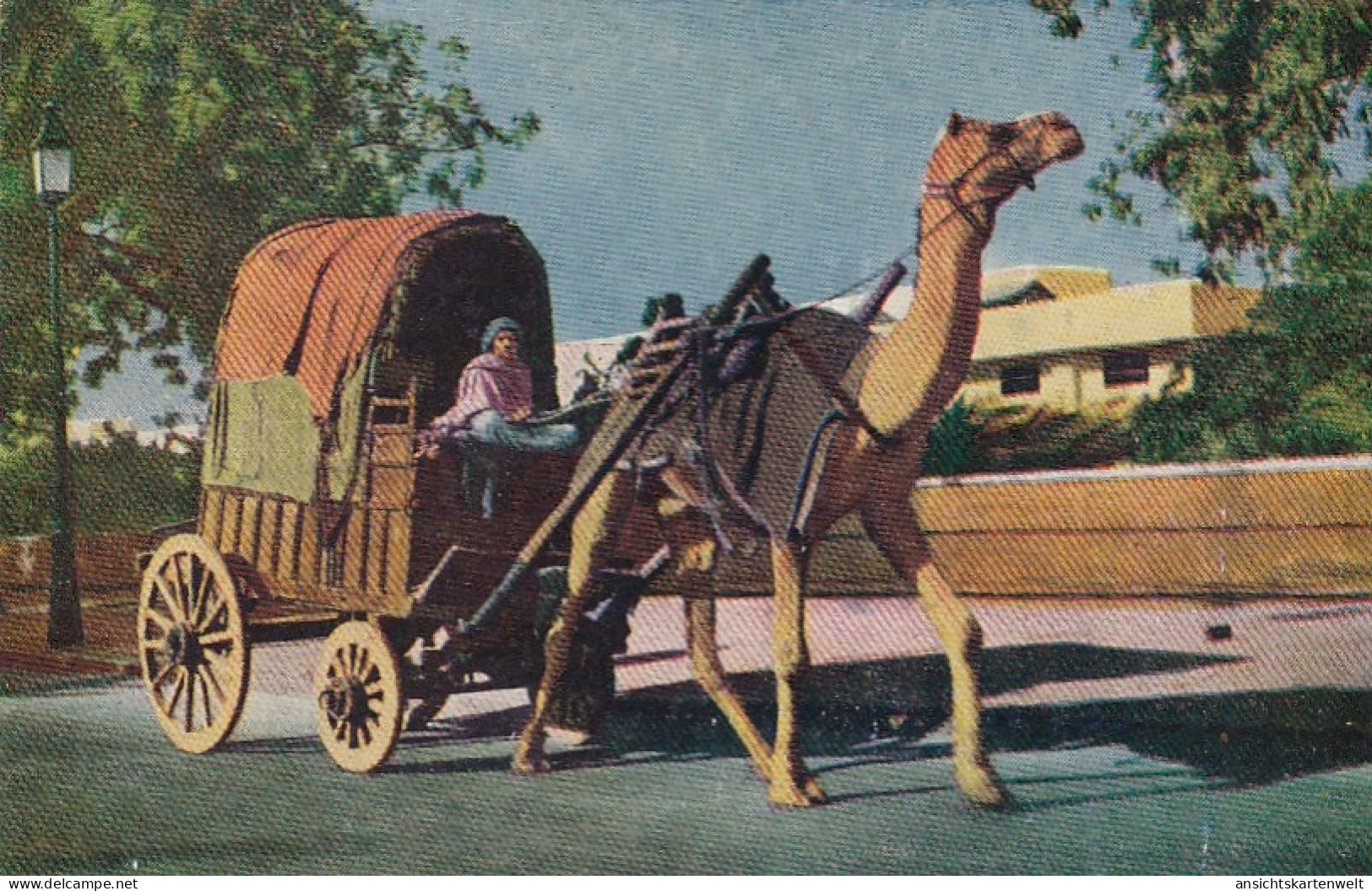 Indien, Camel Cart Ngl #E4473 - Altri & Non Classificati