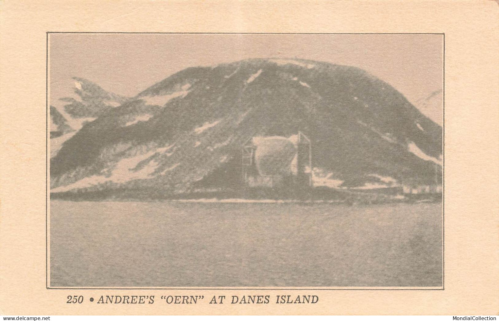 MIKIBP8-022- NORVEGE ANDREES OERN AT DANES ISLAND - Norvège