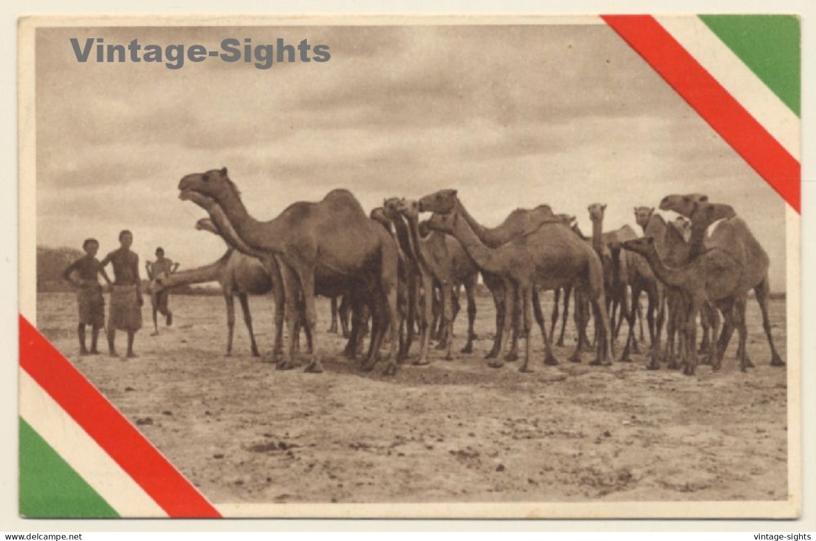 Somalia / Italian Colony: Natives & Camel Caravan (Vintage PC ~1920s) - Somalie