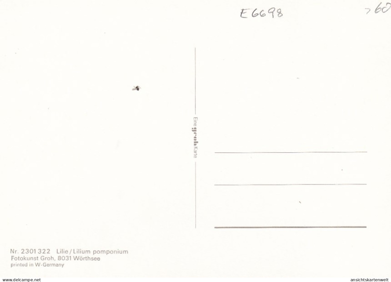 Lilium Pomponium, Lilie Ngl #E6698 - Otros & Sin Clasificación