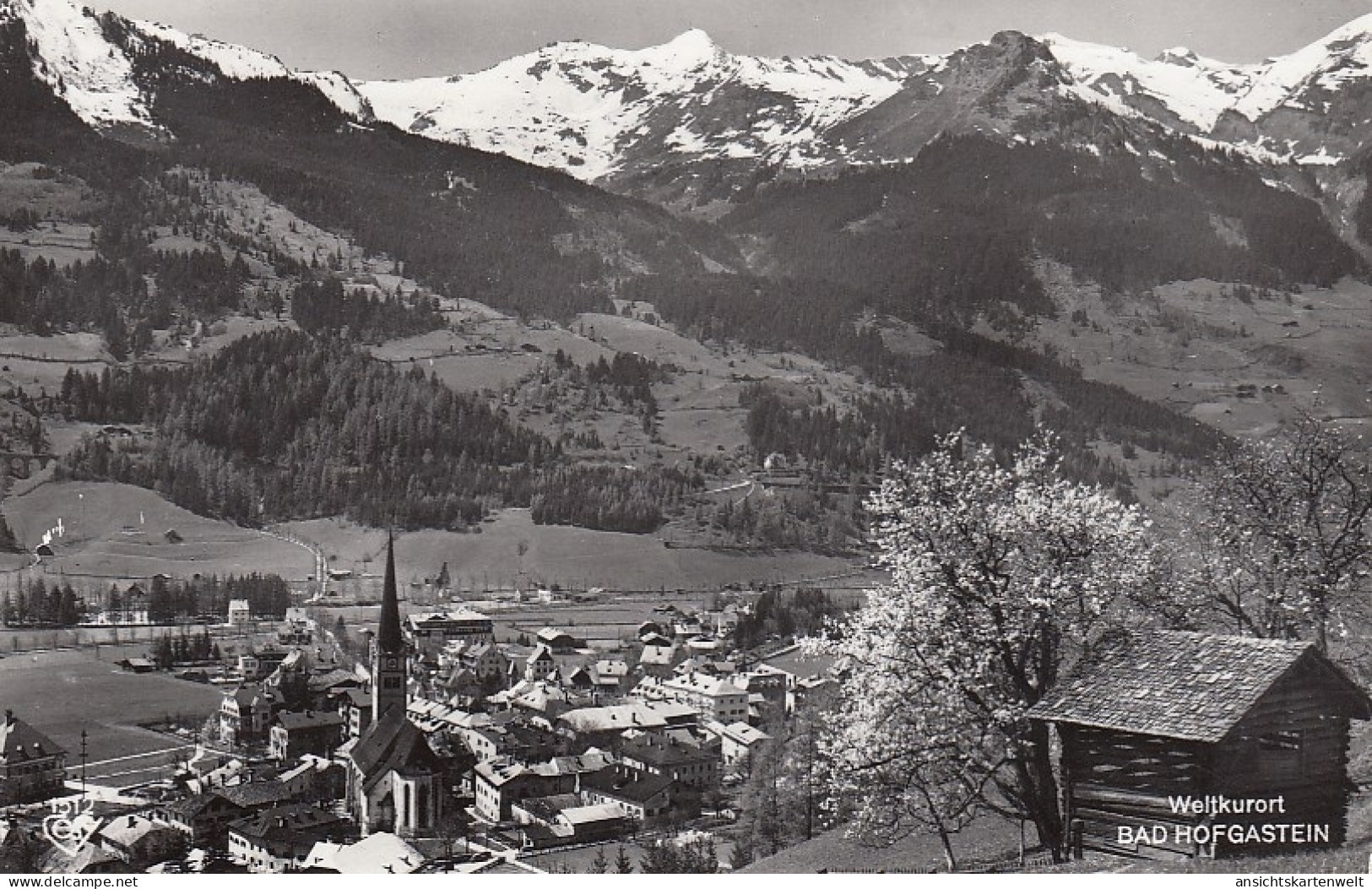 Bad Hofgastein Panorama Gl1964 #E5707 - Andere & Zonder Classificatie