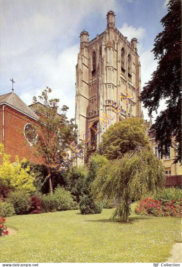 62. SAINT-OMER – La Cathédrale  - Saint Omer