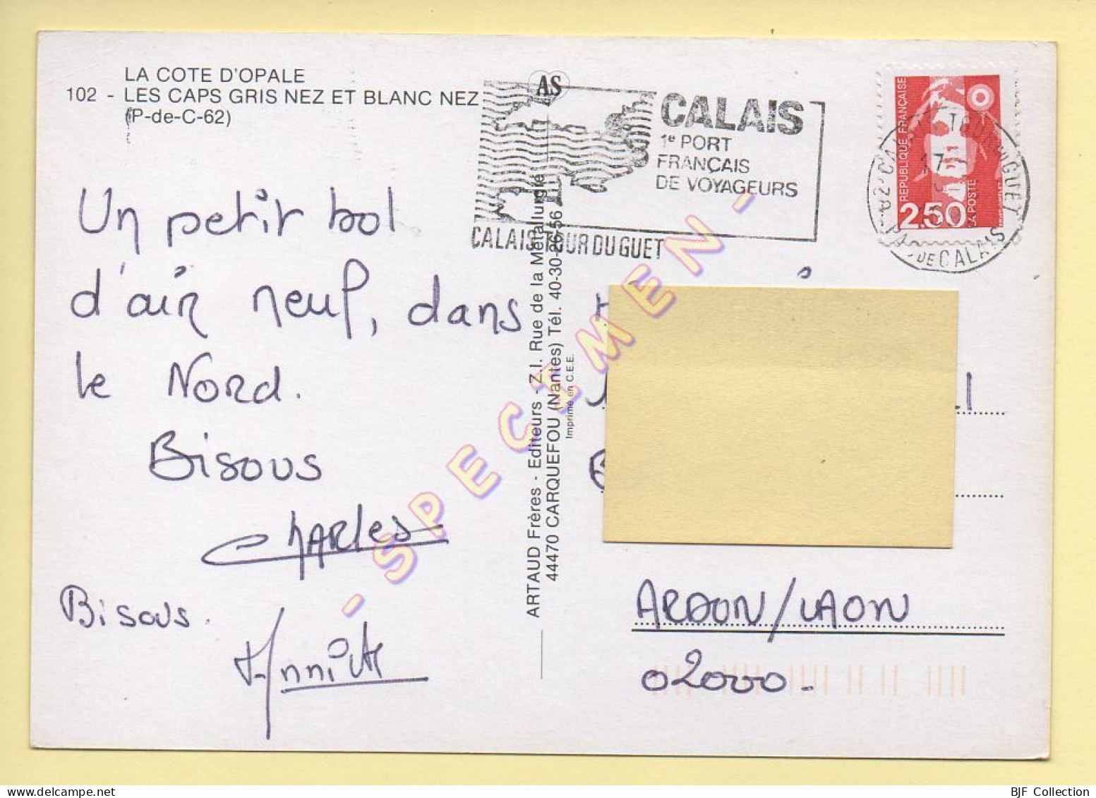 62. LES CAPS GRIS NEZ ET BLANC NEZ – Multivues (voir Scan Recto/verso) - Wissant