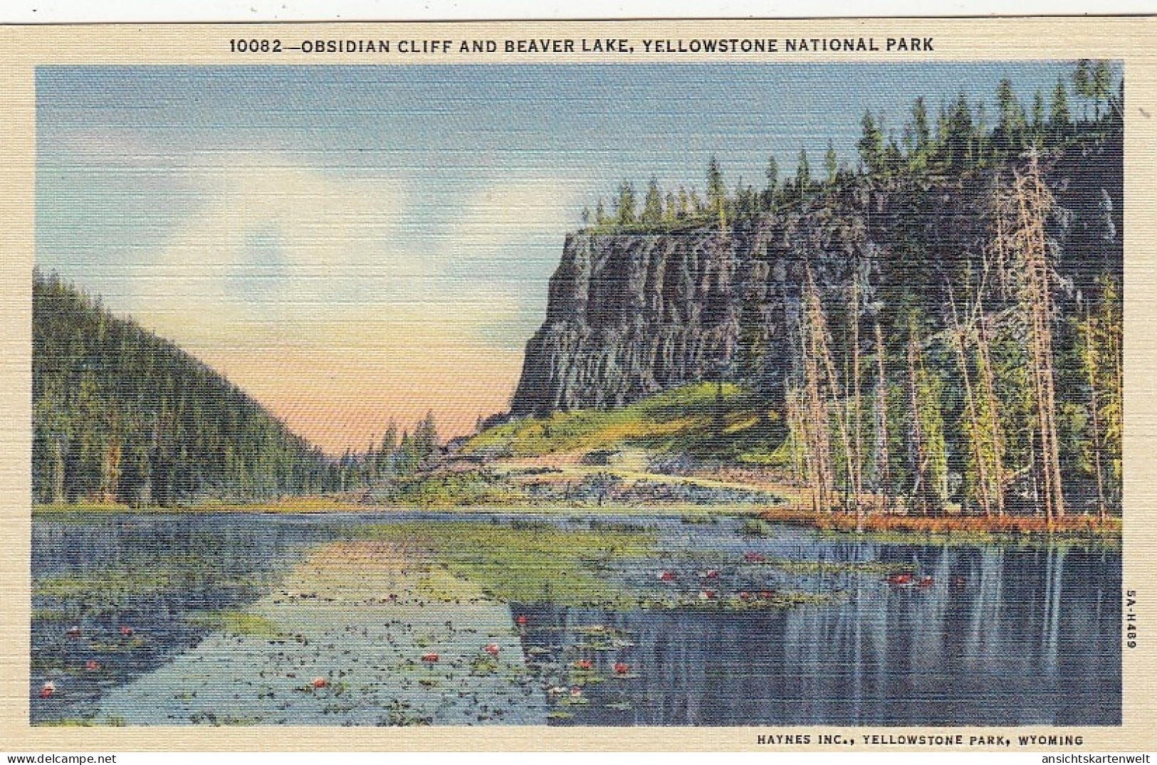 Yellowstone Nat.Park, Obsidian Cliff And Beaver Lake Ngl #E8746 - Autres & Non Classés