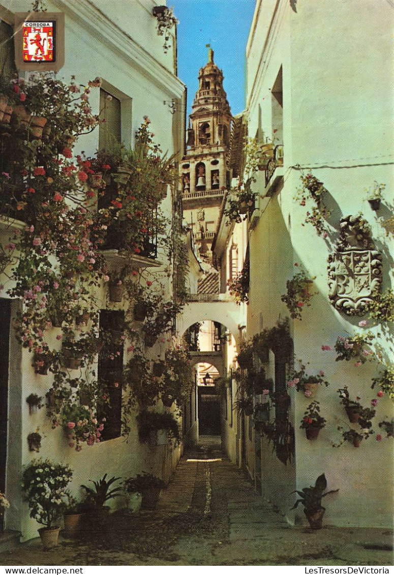 ESPAGNE - Cordoba - Vue Sur La Ruelle Des Fleurs - Vue Générale - Carte Postale - Córdoba