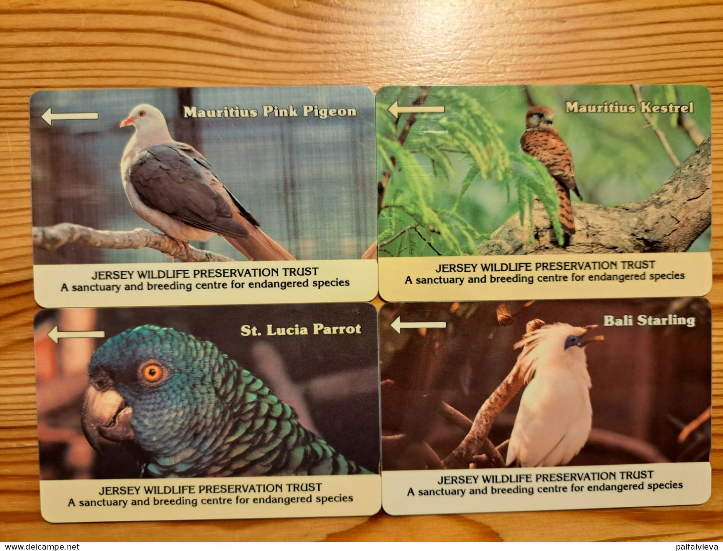 Phonecard Set Jersey 8JERA-D - Wildlife, Bird - Jersey Et Guernesey