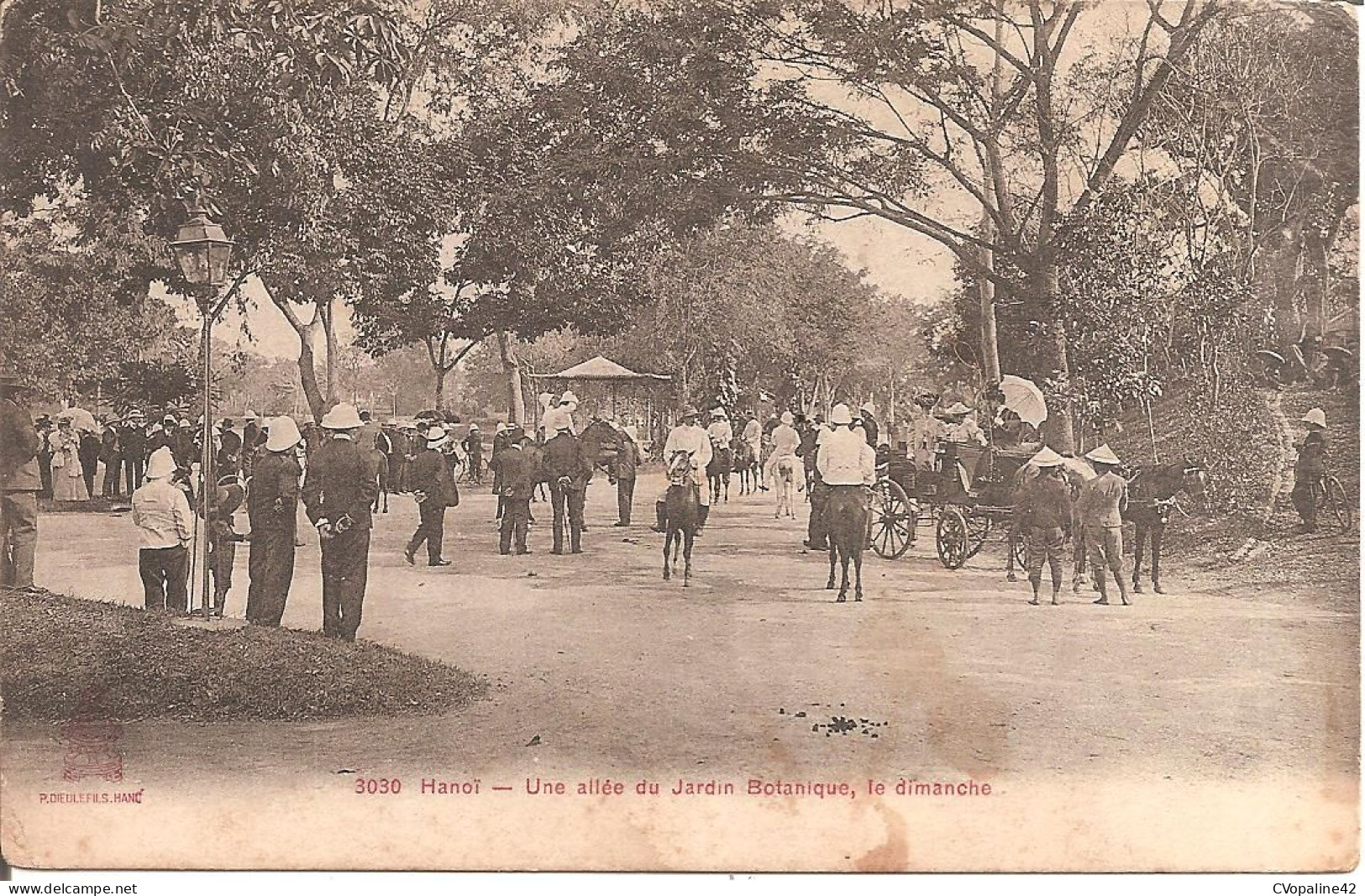 HANOÏ - Une Allée Du Jardin Botanique , Le Dimanche - Vietnam