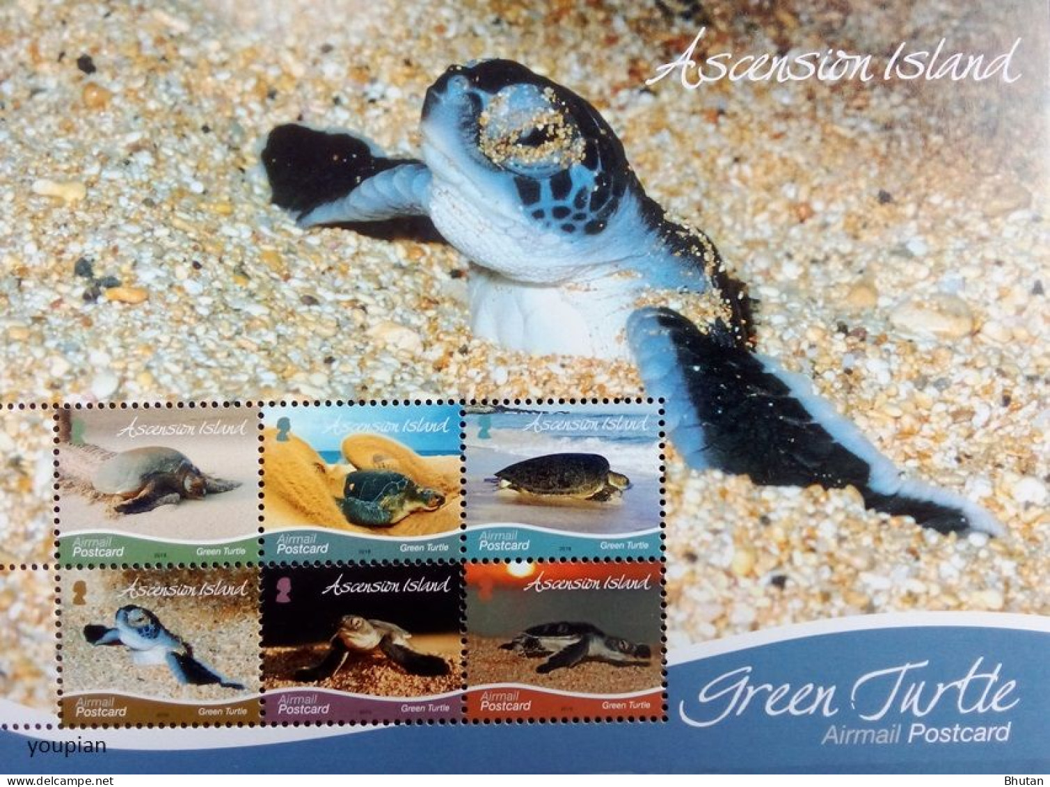 Ascension 2019, Green Turtle, MNH S/S - Ascension