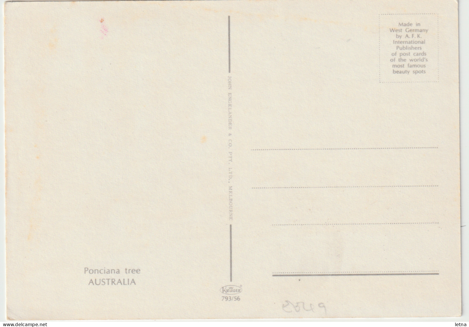 Australia QUEENSLAND QLD Poinciana Tree Engelander Kruger 793/56 Postcard C1970s - Other & Unclassified