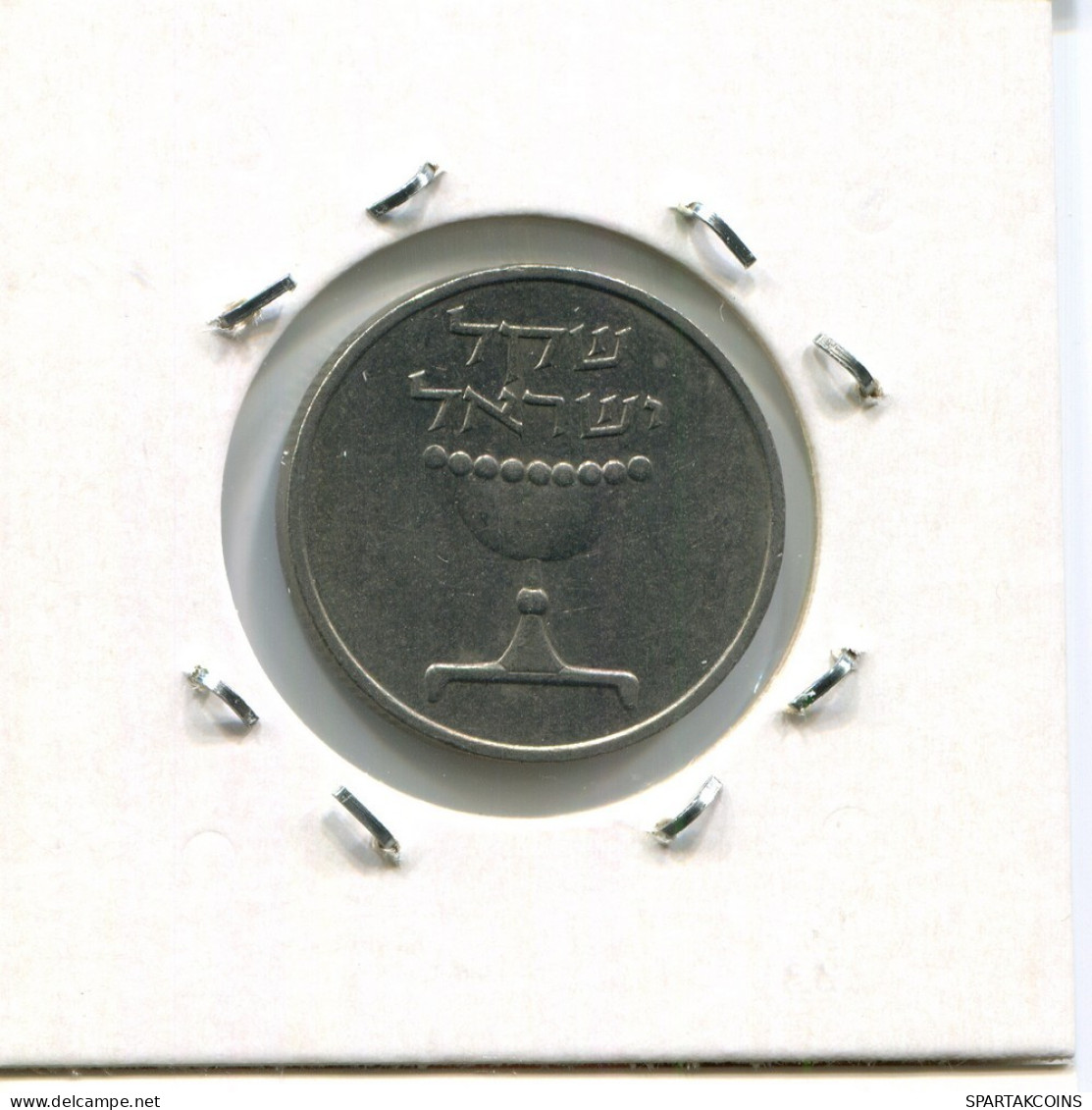 1 SHEQEL 1981 ISRAEL Moneda #AR619.E.A - Israël