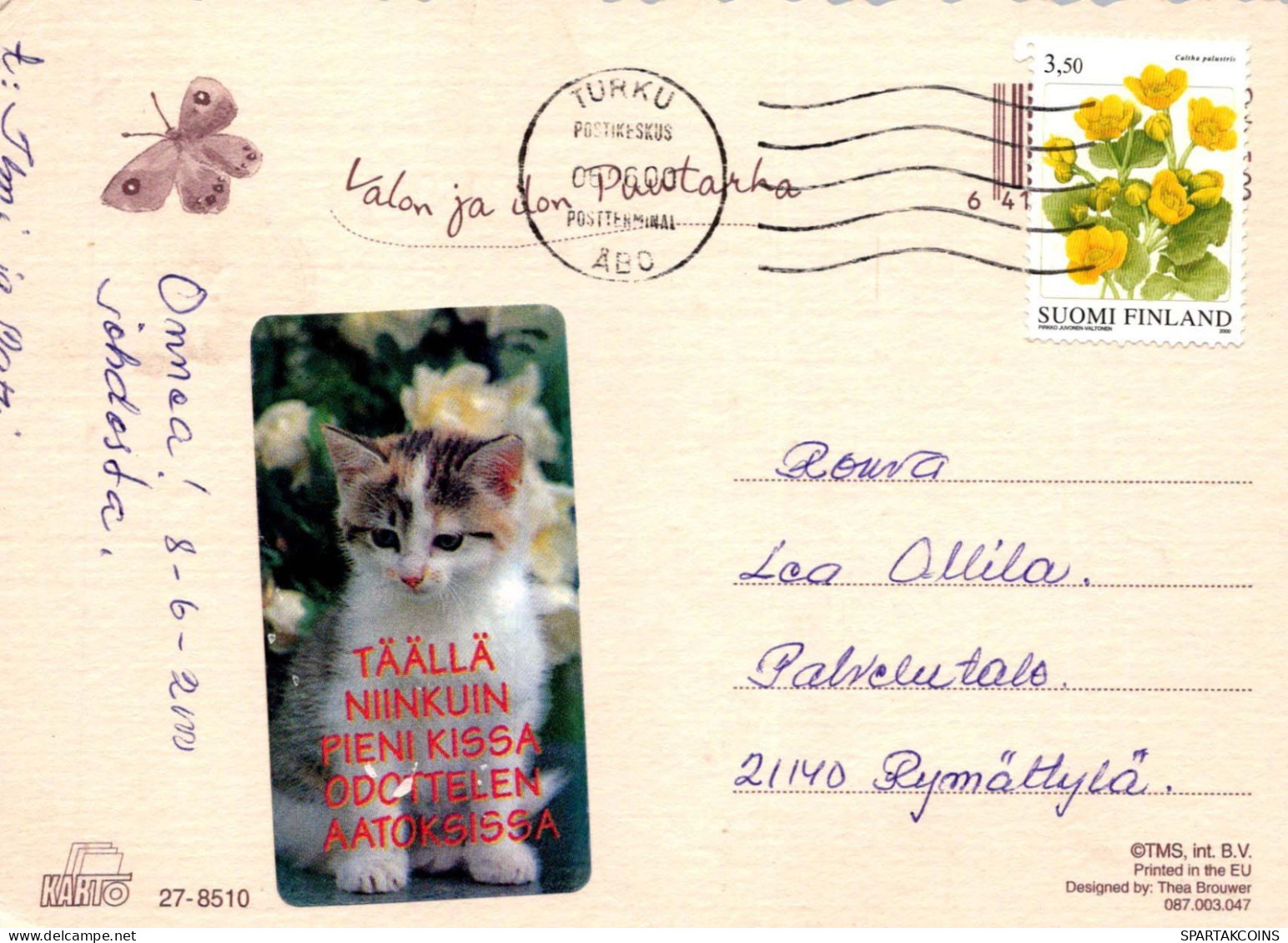 FLEURS Vintage Carte Postale CPSM #PBZ462.A - Blumen