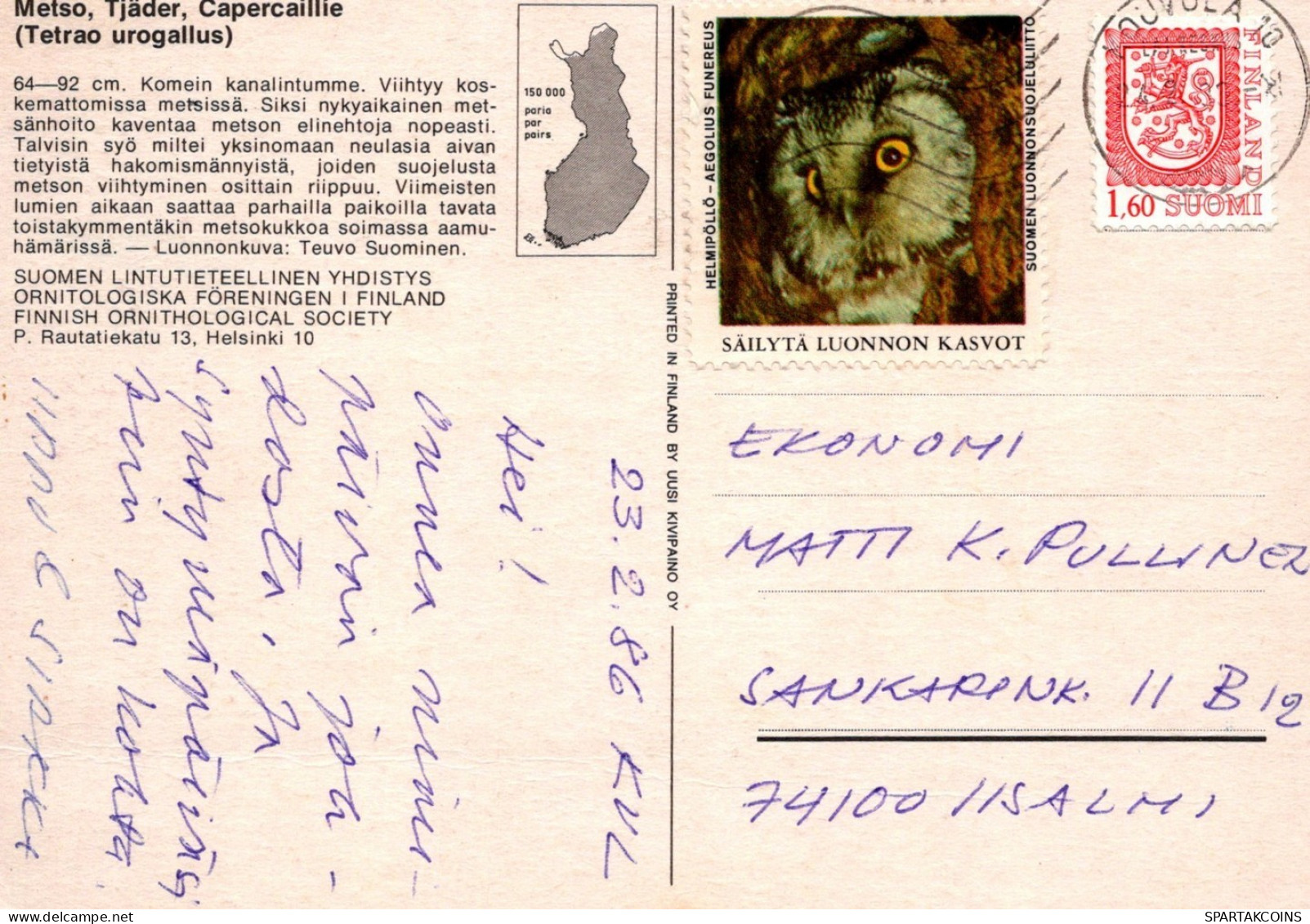 UCCELLO Animale Vintage Cartolina CPSM #PAN214.A - Pájaros