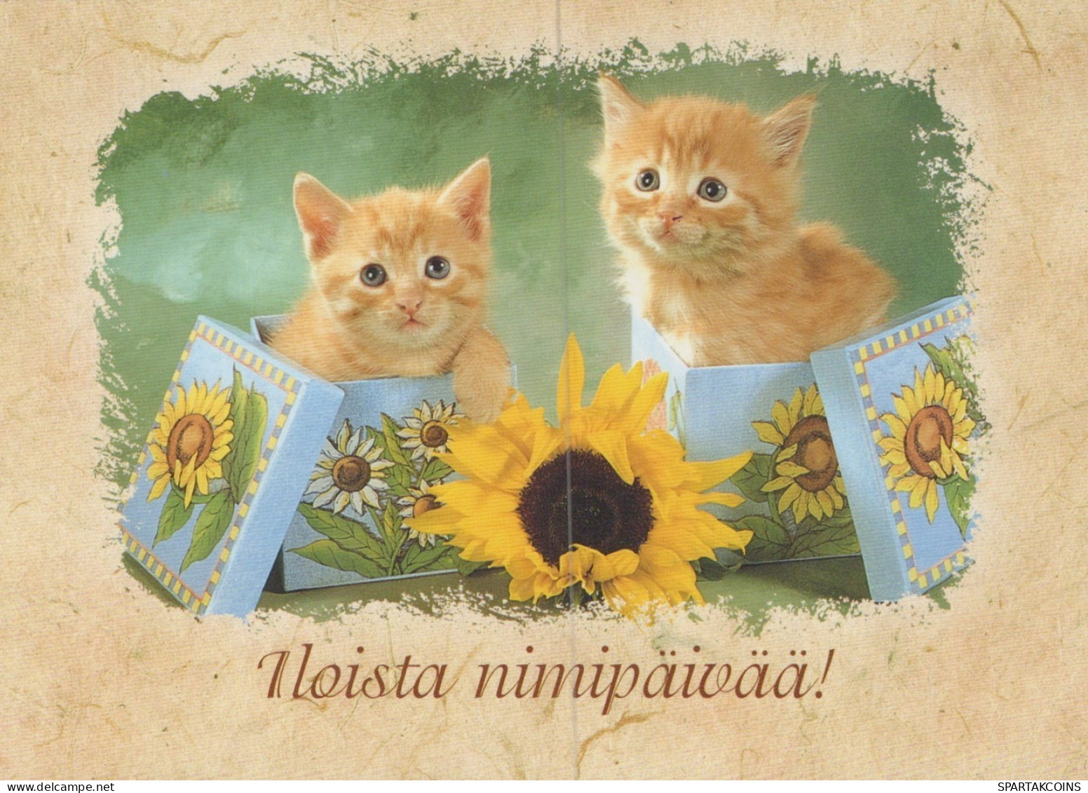KATZE MIEZEKATZE Tier Vintage Ansichtskarte Postkarte CPSM #PAM420.A - Katten
