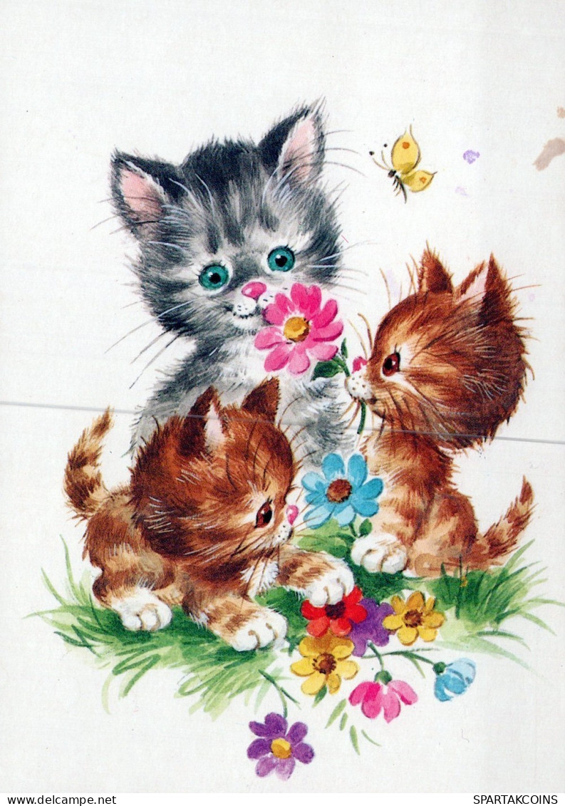 CAT KITTY Animals Vintage Postcard CPSM #PAM281.A - Katten
