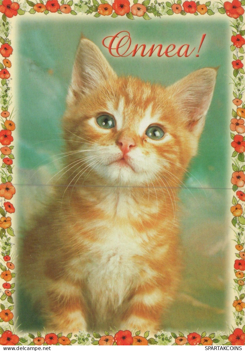 GATO GATITO Animales Vintage Tarjeta Postal CPSM #PAM097.A - Cats