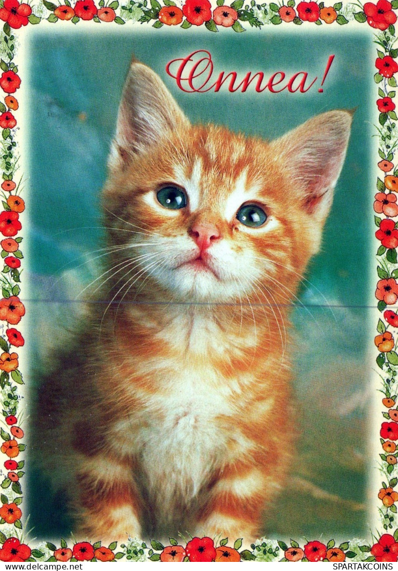 GATO GATITO Animales Vintage Tarjeta Postal CPSM #PAM097.A - Cats