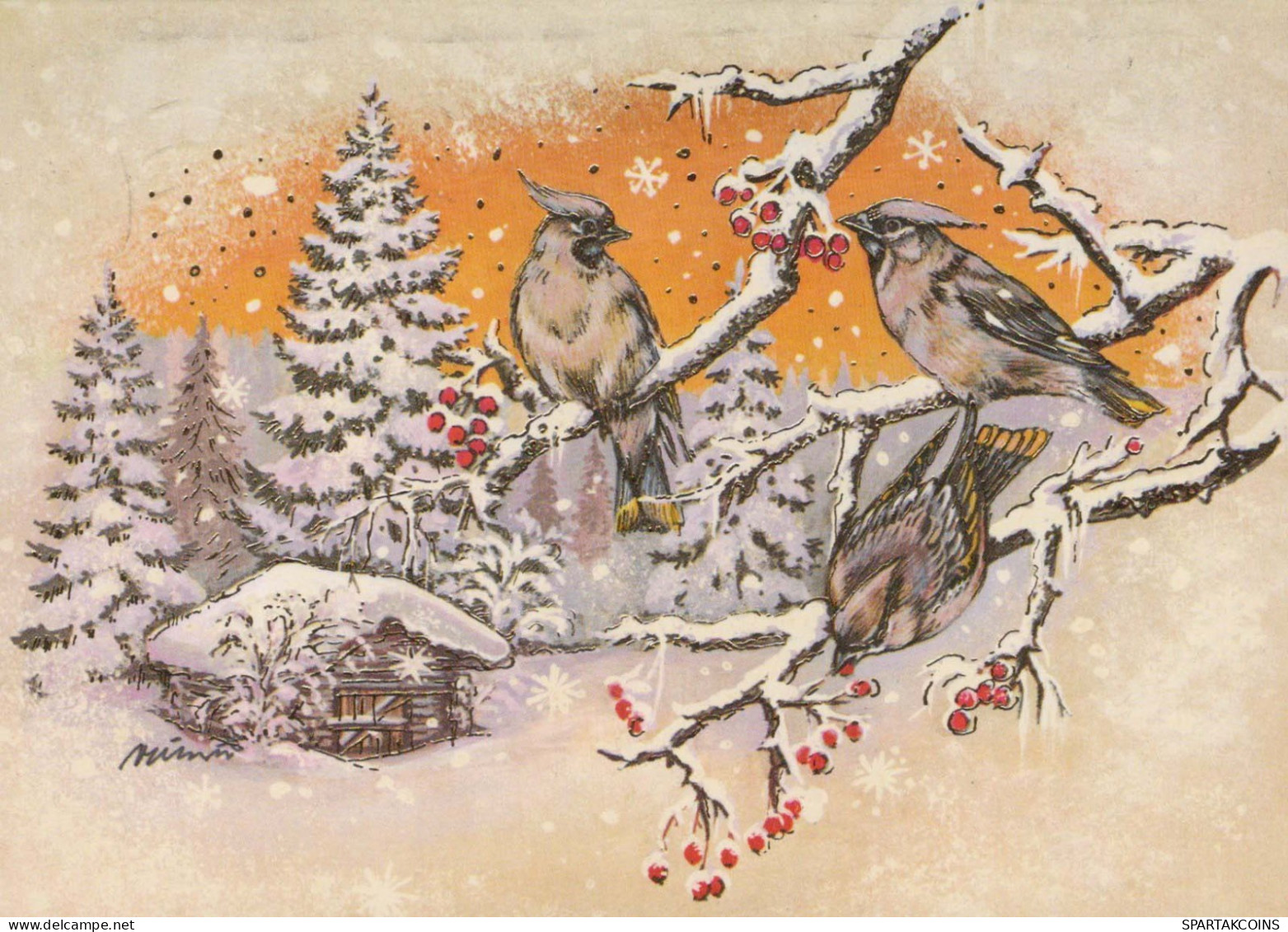 PÁJARO Animales Vintage Tarjeta Postal CPSM #PBR575.A - Oiseaux