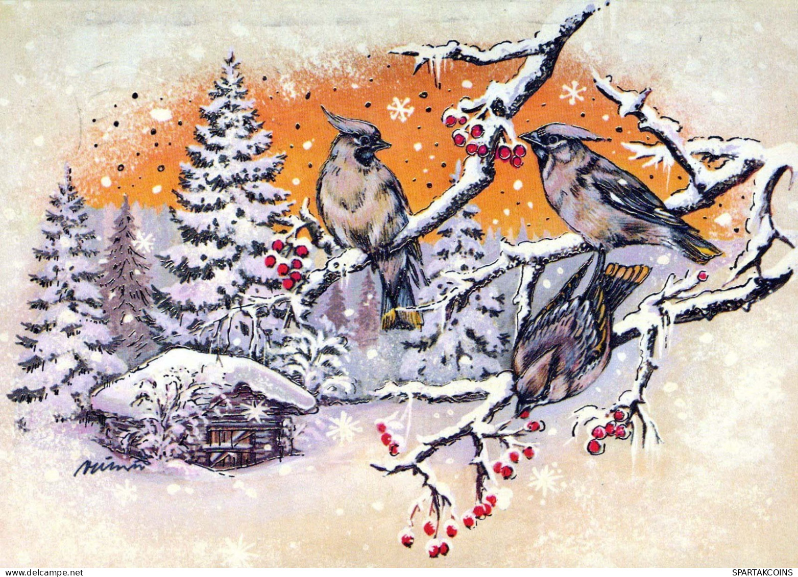 PÁJARO Animales Vintage Tarjeta Postal CPSM #PBR575.A - Oiseaux