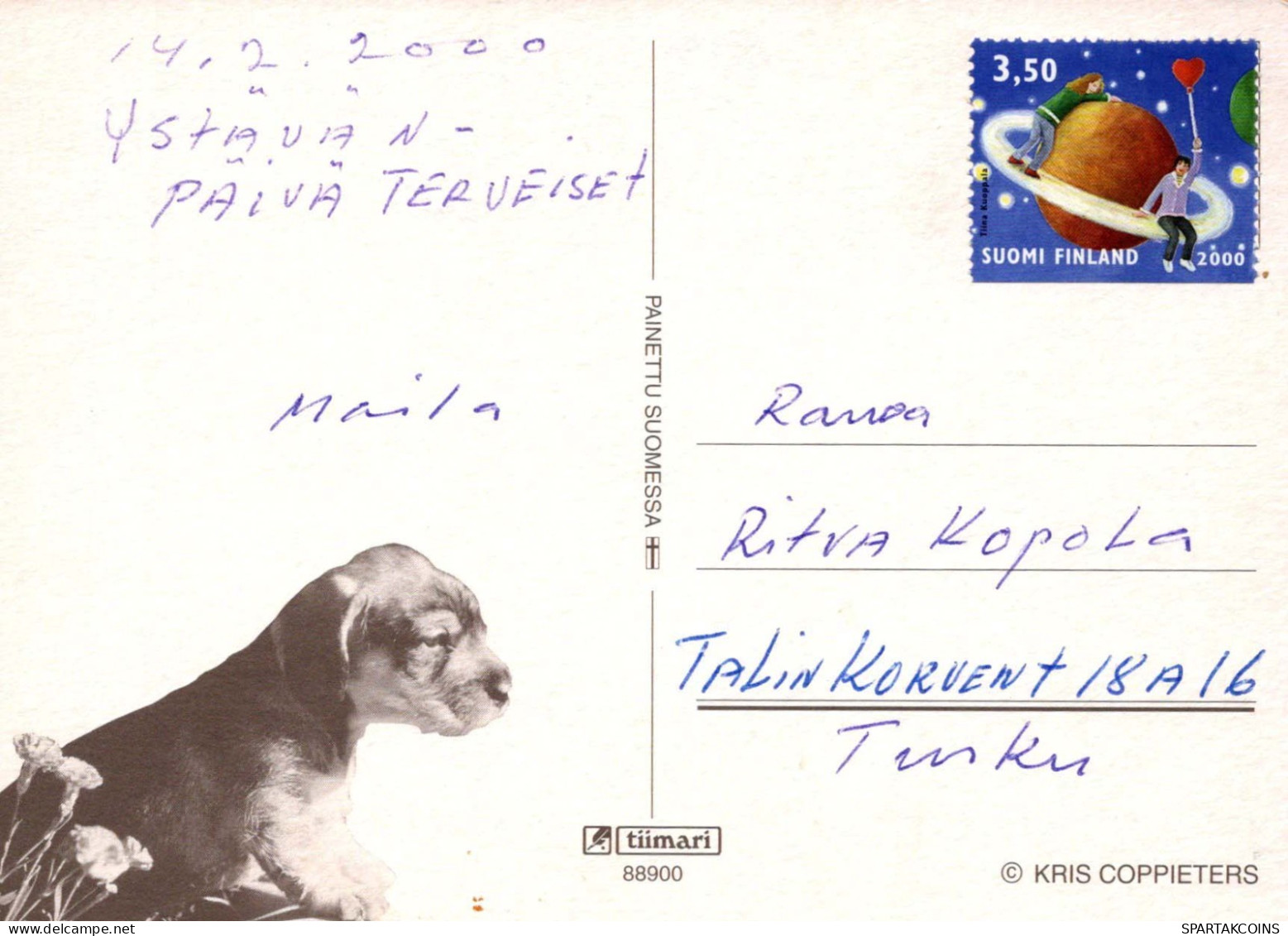 CHIEN Animaux Vintage Carte Postale CPSM #PBQ451.A - Hunde
