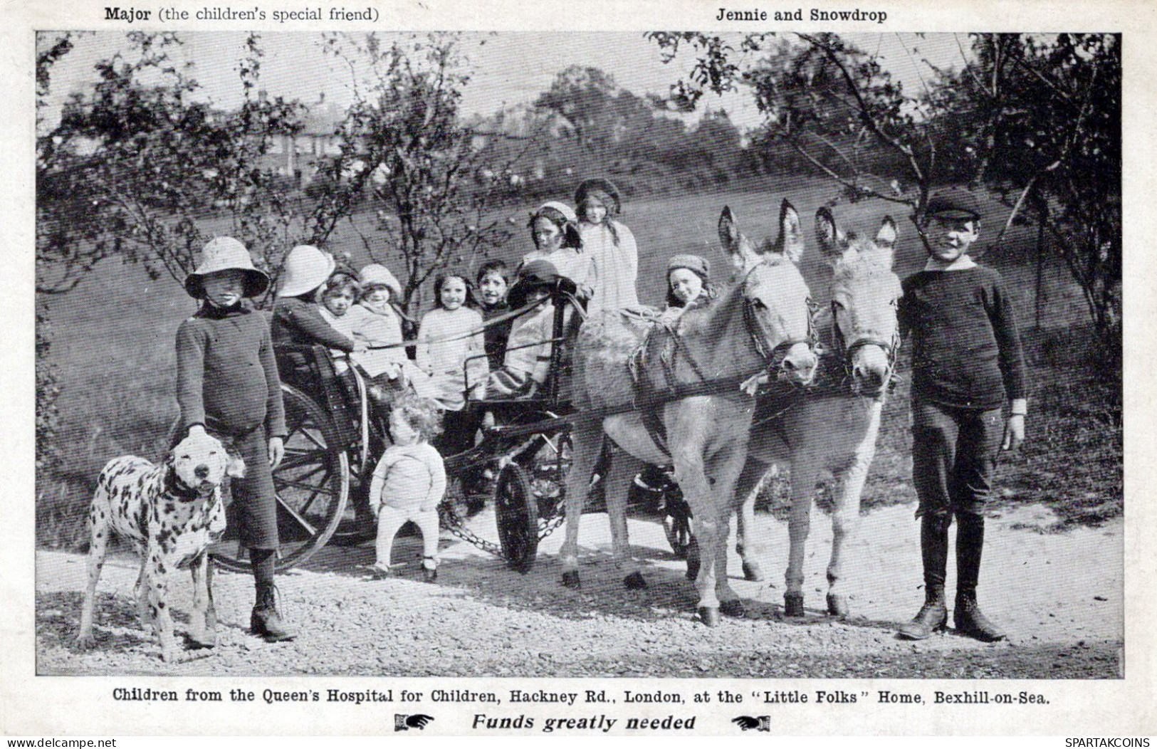 ASINO Animale BAMBINO Vintage CPA Cartolina #PAA190.A - Donkeys