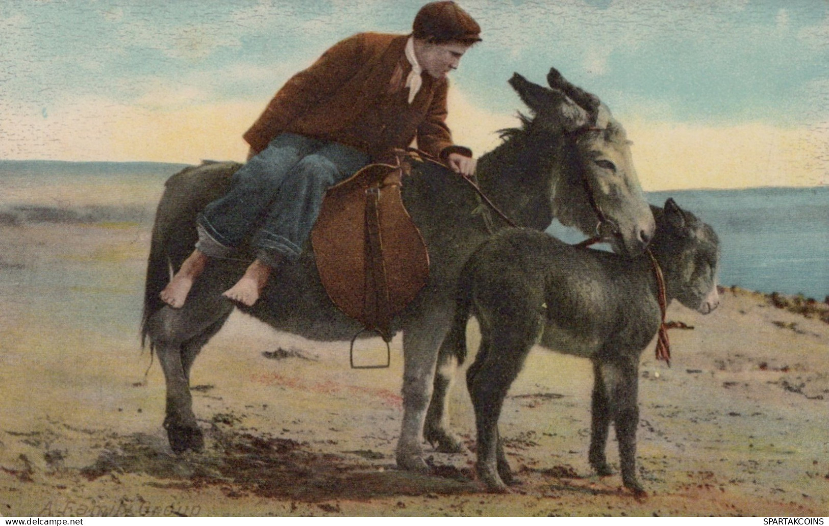 ASINO Animale Vintage CPA Cartolina #PAA070.A - Donkeys