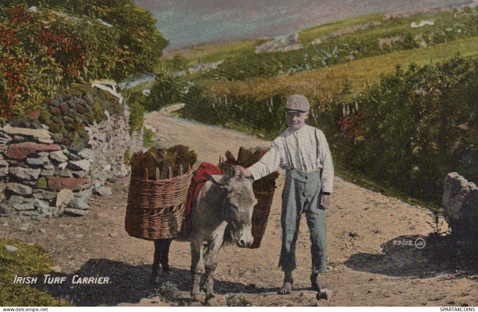 DONKEY Animals Children Vintage Antique Old CPA Postcard #PAA008.A - Donkeys