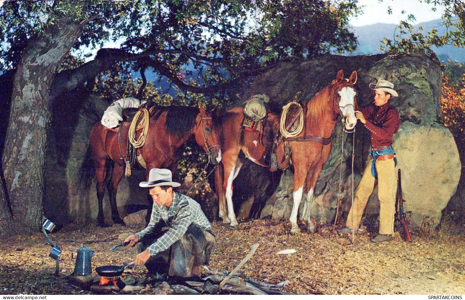 HORSE Vintage Postcard CPSMPF #PKG934.A - Pferde