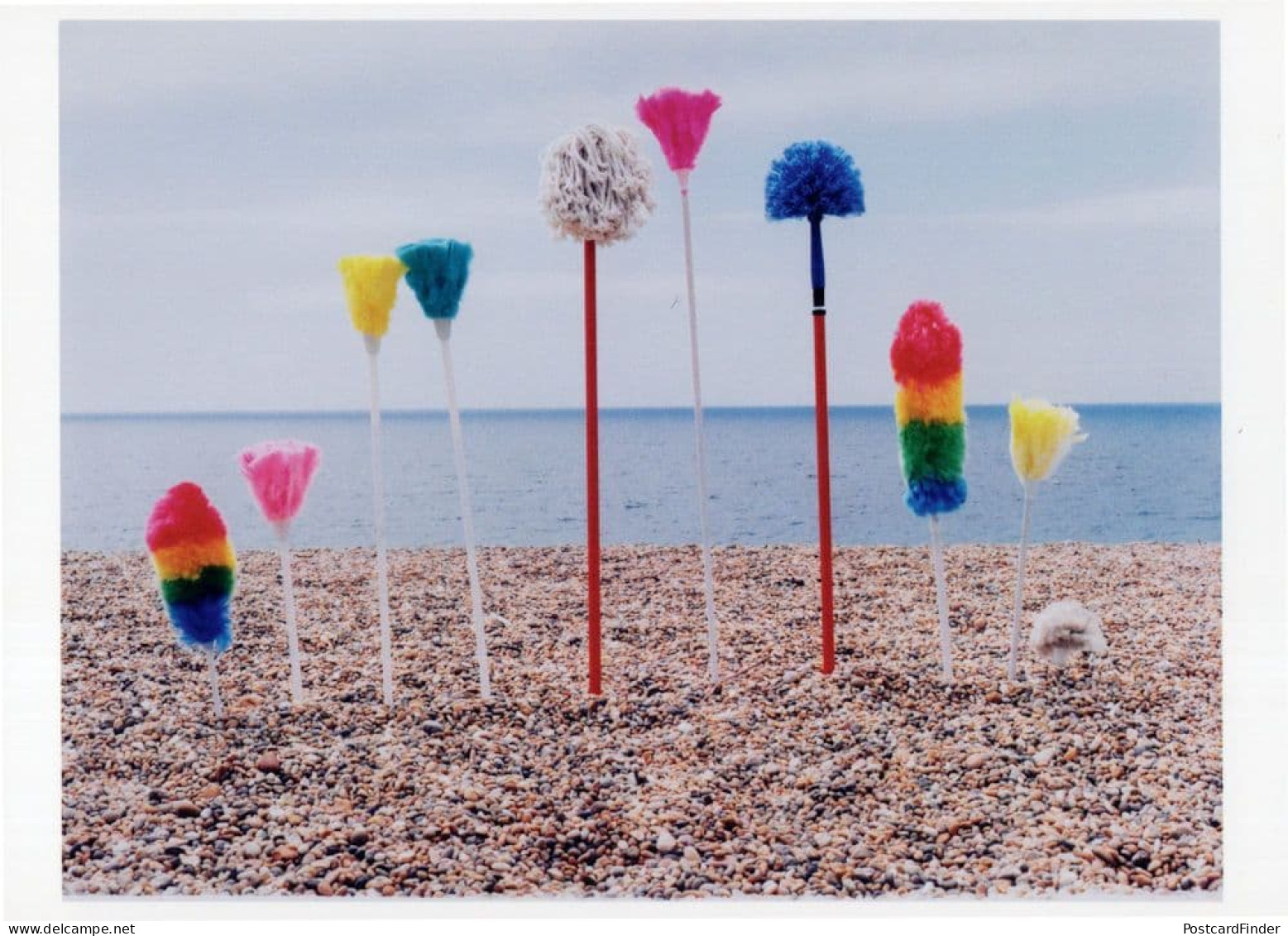 Beach Clean Sian Bonnell LGBT Gay Mops Brush Rainbow Photo Postcard - Fotografie