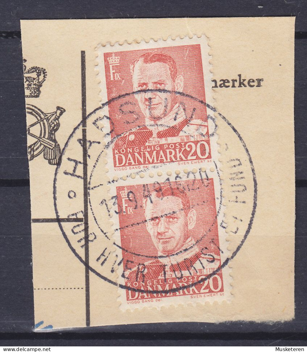 Denmark 1948 Mi. 304, 20 Øre King Frederik IX. Sonderstempel 'For Hver Turist Et Fund' HADSUND 1949 Clip - Used Stamps