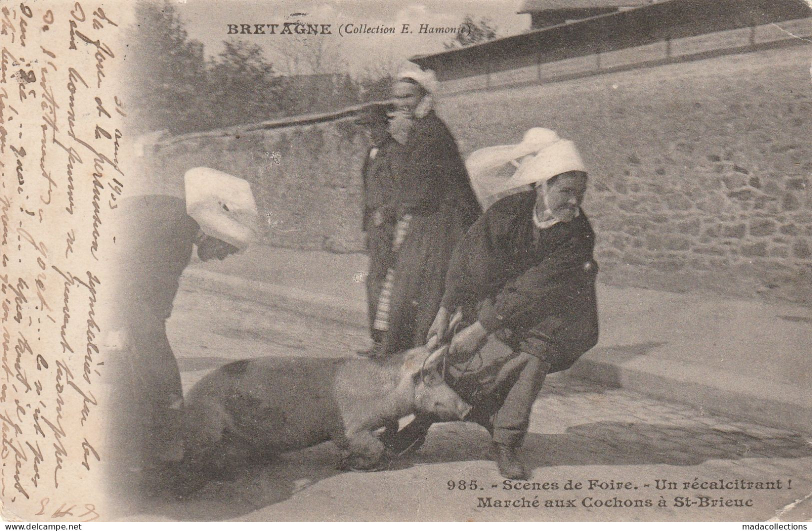 Saint Brieuc (22 - Côtes D'Armor) Marché Aux Cochons . Un Récalcitrant - Saint-Brieuc