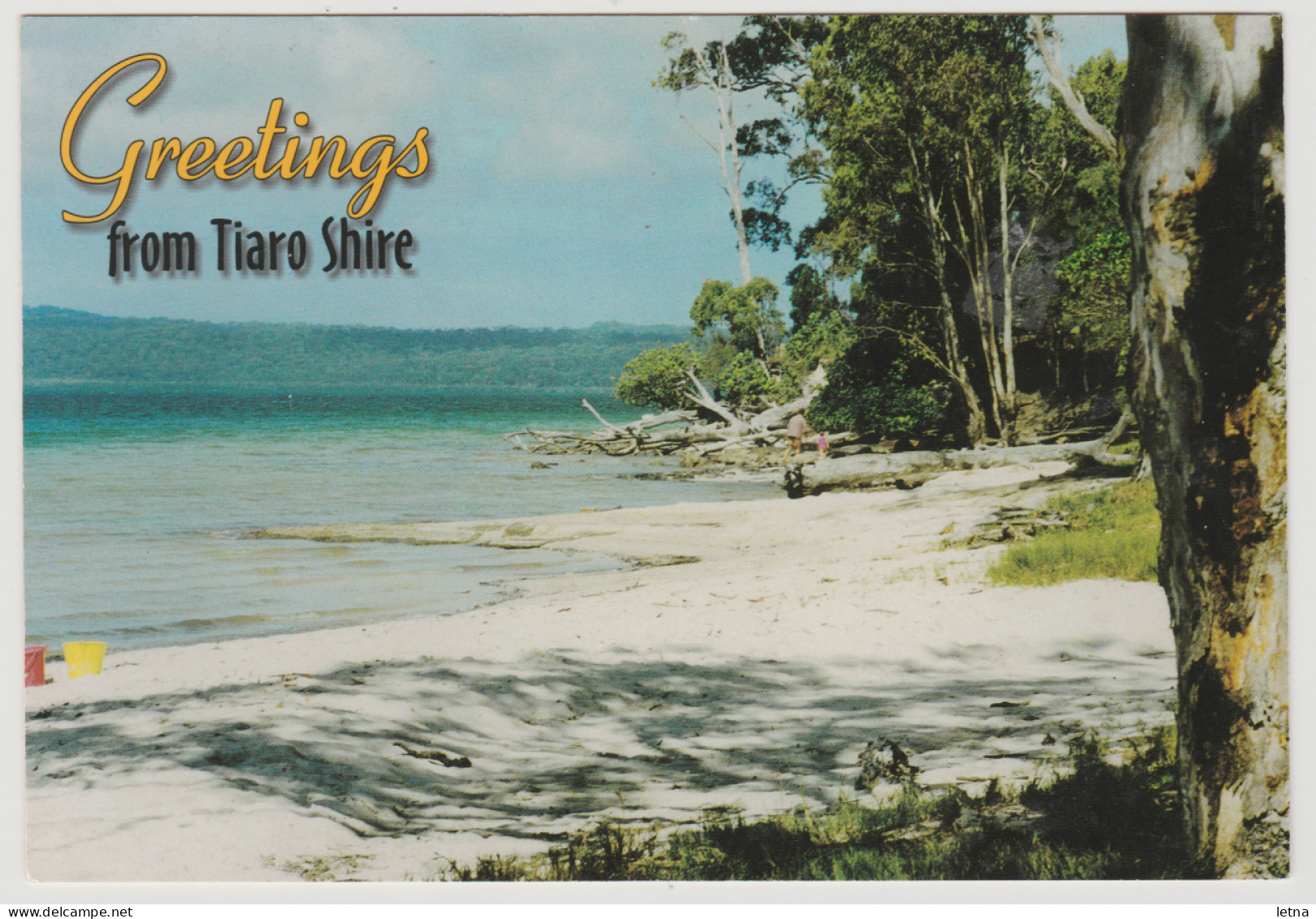 Australia QUEENSLAND QLD Tinnanbar Beach TIARO SHIRE Promotion Postcard C1980s - Altri & Non Classificati