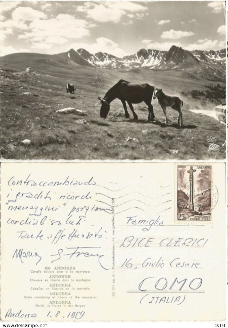 Valls D'Andorra - Wild Horses Wandering At Liberty On The Mountains - B/w PPC 1aug1959 To Italy With Regular F25 - Andorra