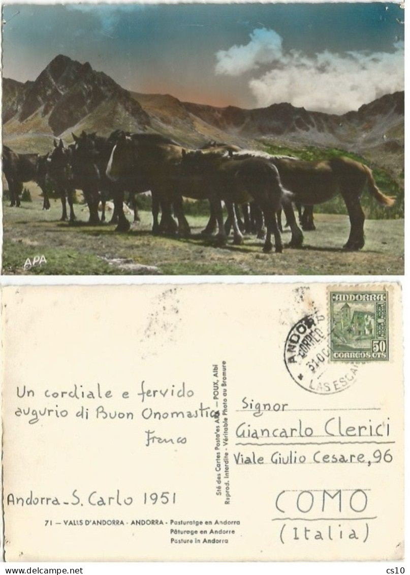 Valls D'Andorra Wild Horses At Pasture Color Pcard 31oct1951 X Italy With Regular C50 Solo - Andorre