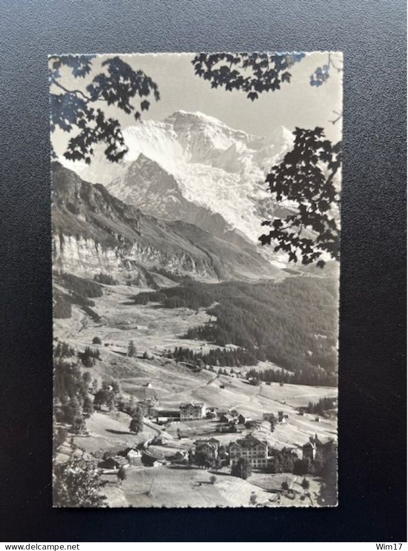 SWITZERLAND 1929 POSTCARD KLEINE SCHEIDEGG TO 'S GRAVENHAGE 18-06-1929 SUISSE SCHWEIZ - Brieven En Documenten