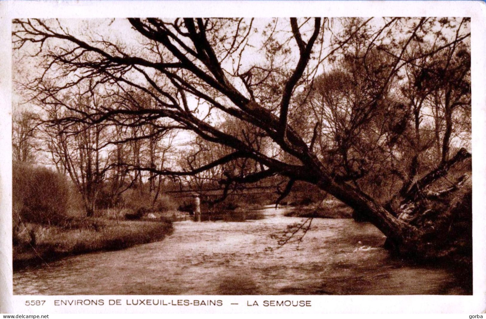 *CPA - 70 - Environ De LUXEUIL Les BAINS - La Semouse - Luxeuil Les Bains