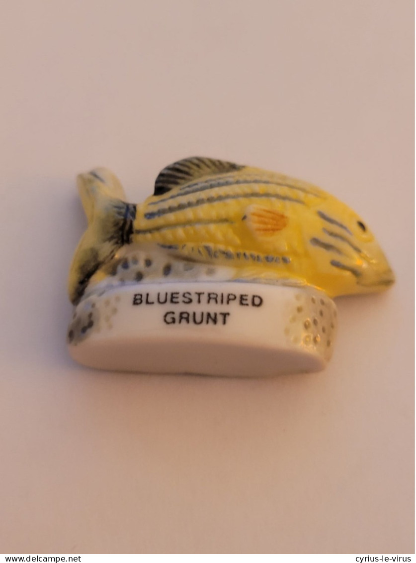 Féves  ** Poisson Bluestriped Grunt - Dieren