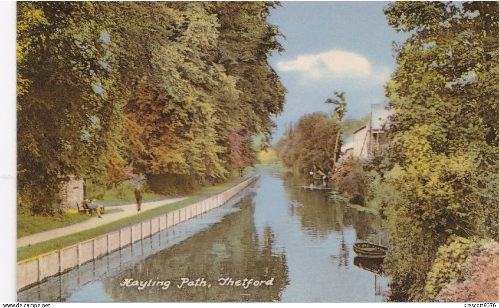 Kayling Path, Thetford - Norfolk - Unused Saucy Postcard - N1 - Norwich