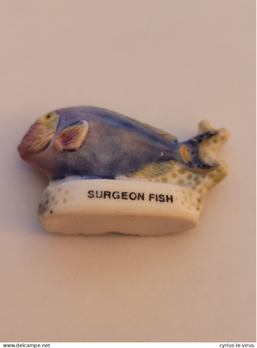 Féves  ** Poisson Surgeon Fish - Dieren