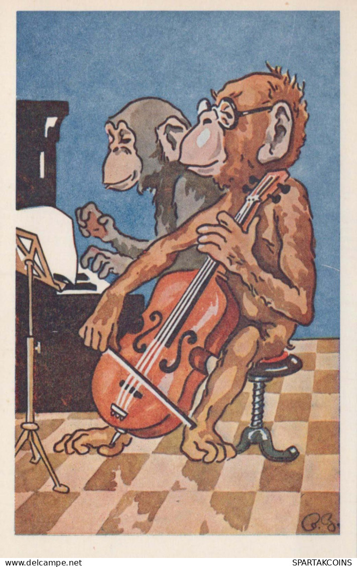 MONKEY Animals Vintage Postcard CPA #PKE766.GB - Singes
