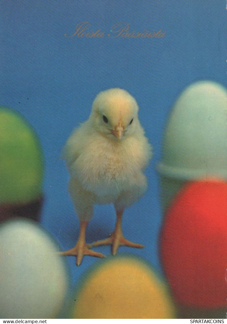 EASTER CHICKEN EGG Vintage Postcard CPSM #PBP071.GB - Pascua