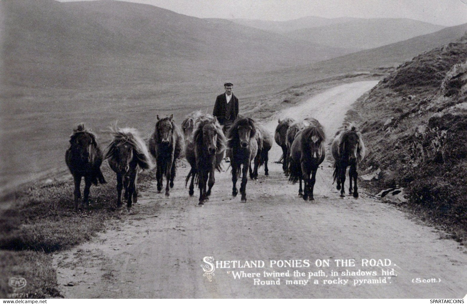 BURRO Animales Vintage Antiguo CPA Tarjeta Postal #PAA194.ES - Ezels