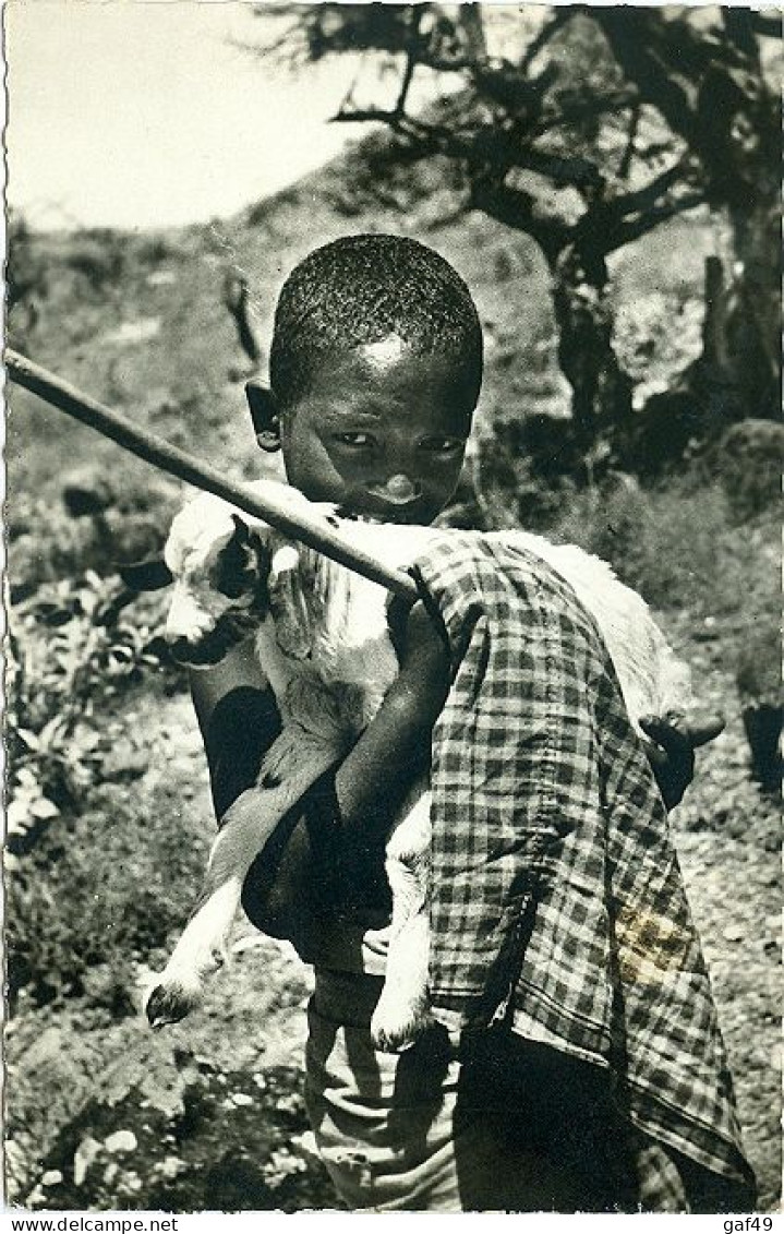 Carte Postale Ethnographie Djibouti L'enfant Et L'agneau Grands Comptoirs Français - Djibouti