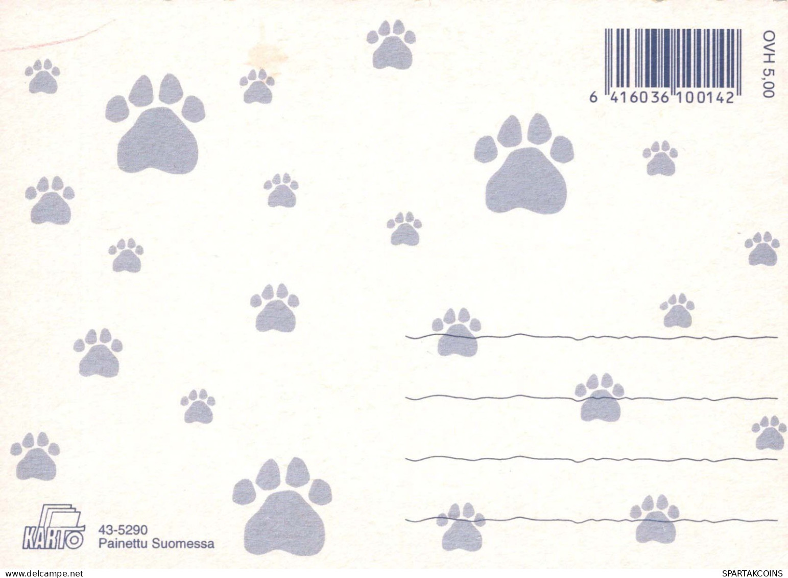 PERRO Animales Vintage Tarjeta Postal CPSM #PBQ407.ES - Hunde