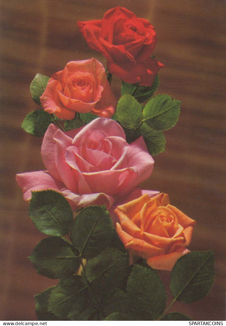 FLOWERS Vintage Ansichtskarte Postkarte CPSM #PAS541.DE - Fleurs