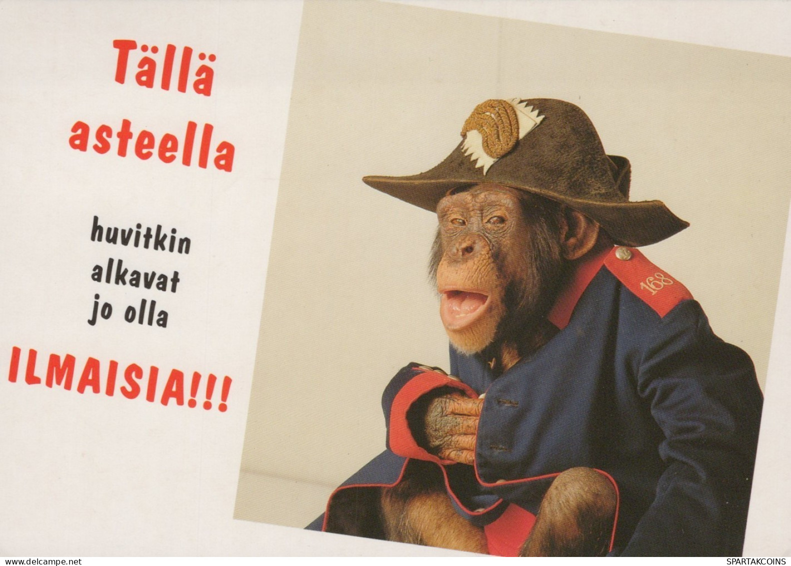 AFFE Tier Vintage Ansichtskarte Postkarte CPSM #PAN977.DE - Monkeys
