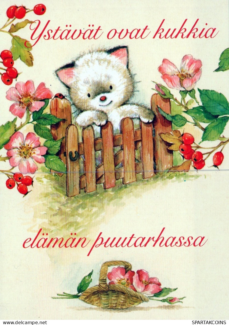 KATZE MIEZEKATZE Tier Vintage Ansichtskarte Postkarte CPSM #PAM263.DE - Gatti